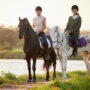 blog-4